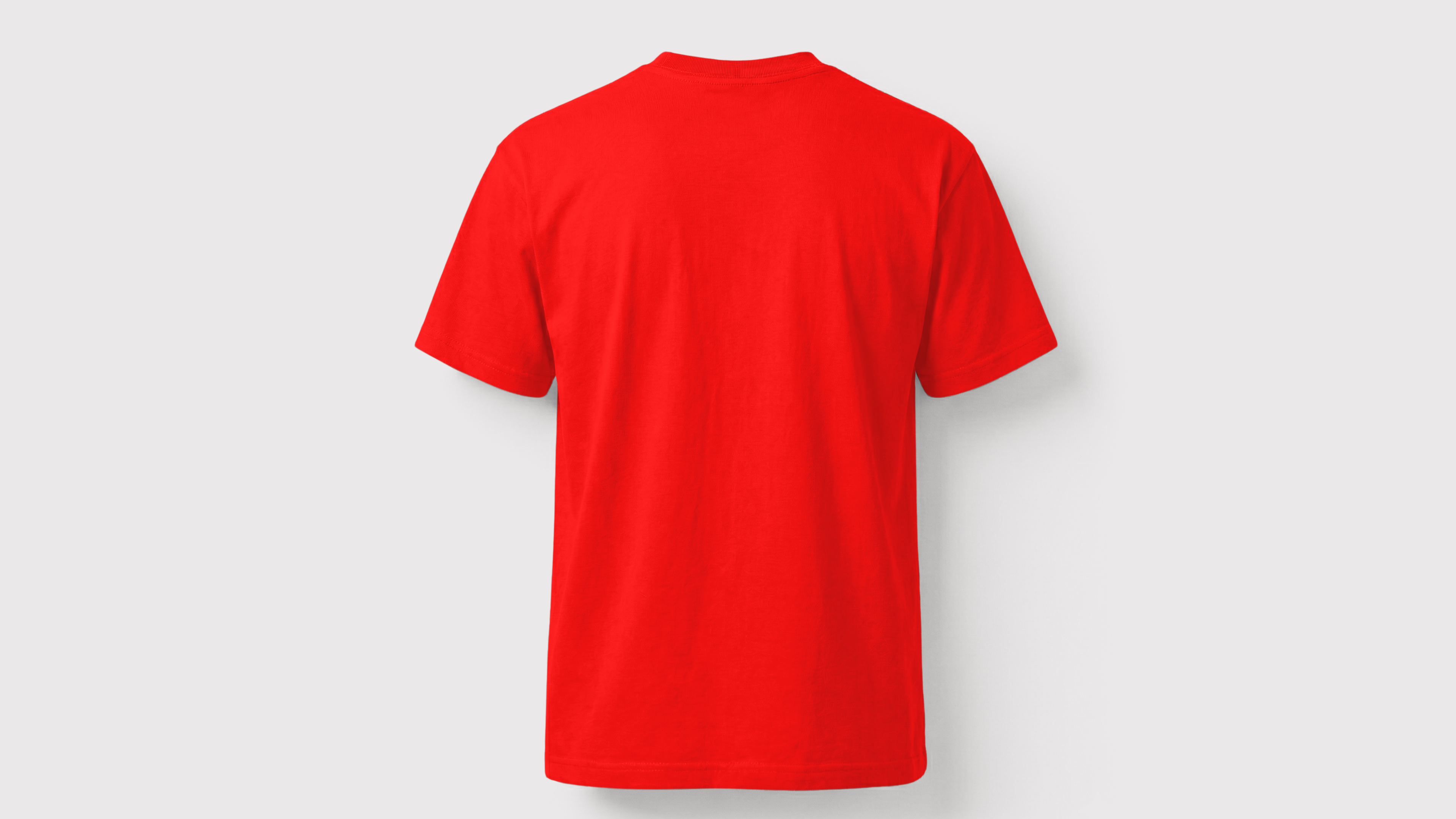 Biowashed T-Shirt