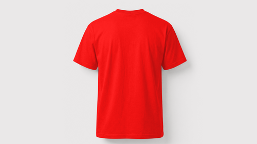 Biowashed T-Shirt