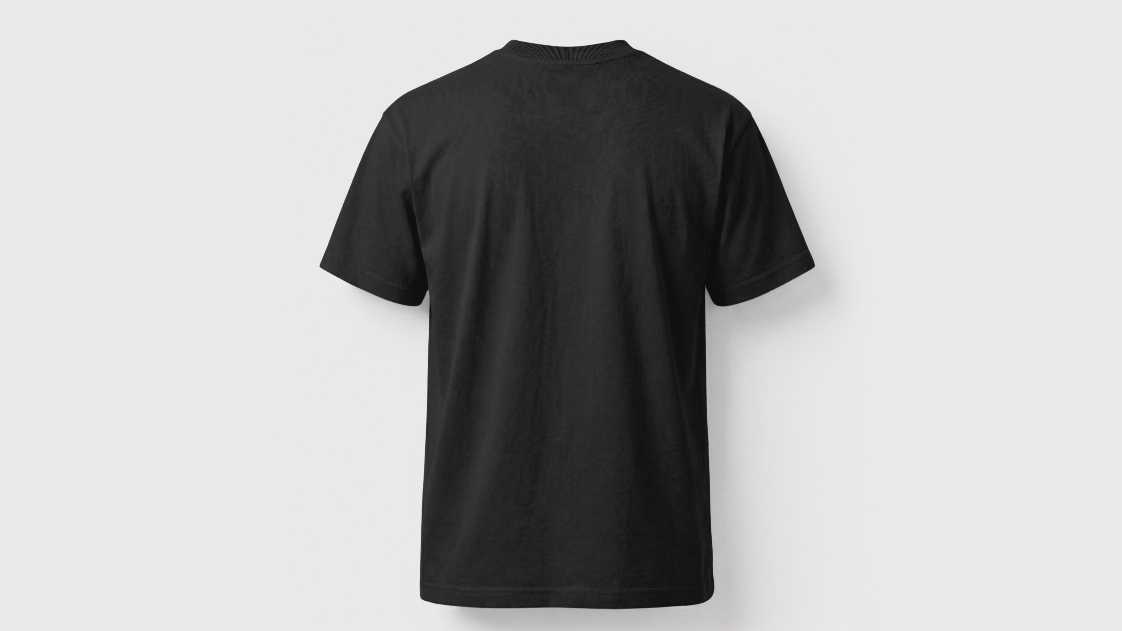 Biowashed T-Shirt